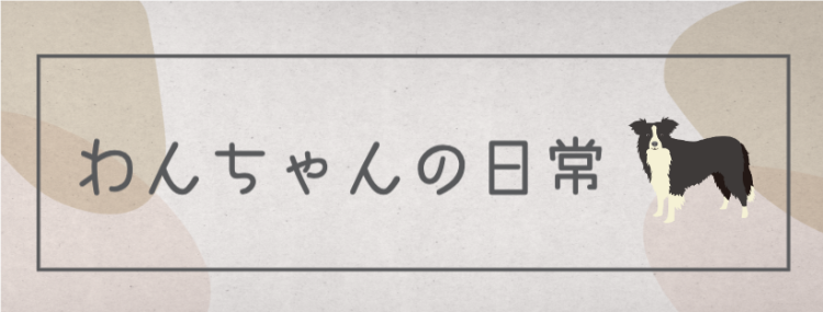カワイイがいっぱい！ワンダーランド